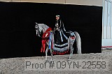 09yn-22558 proof