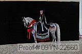 09yn-22560 proof