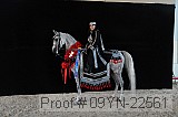 09yn-22561 proof