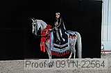 09yn-22564 proof
