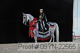 09yn-22565 proof