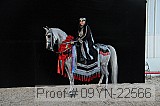 09yn-22566 proof