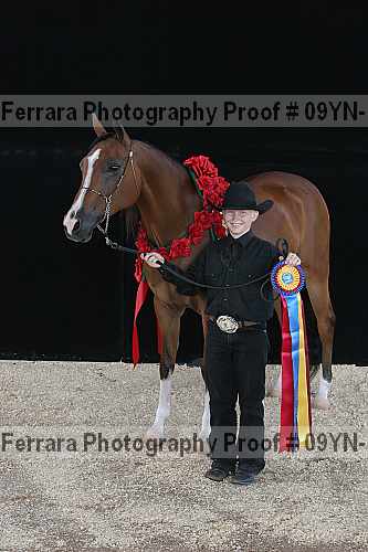 Proof 09yn-11267