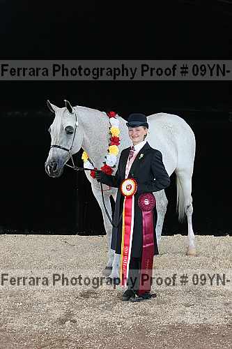 Proof 09yn-11273