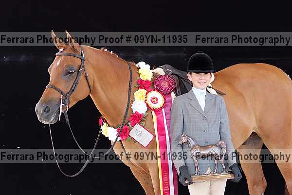 Proof 09yn-11935