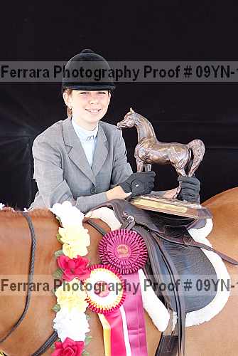 Proof 09yn-11937