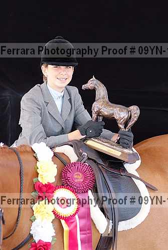 Proof 09yn-11938