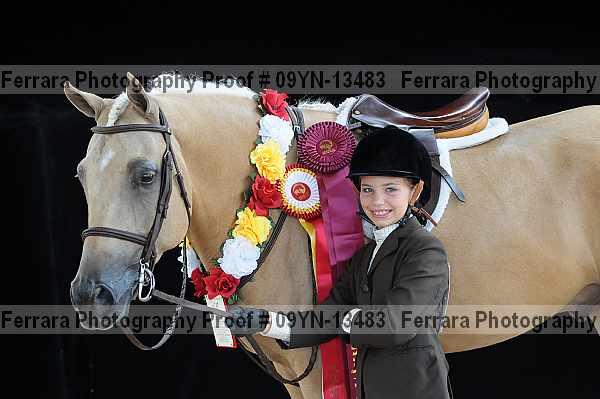 Proof 09yn-13483