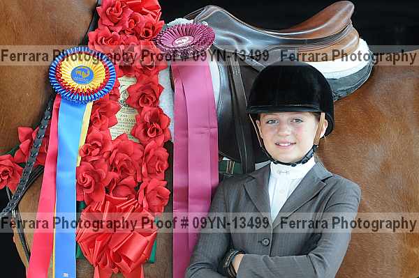 Proof 09yn-13499
