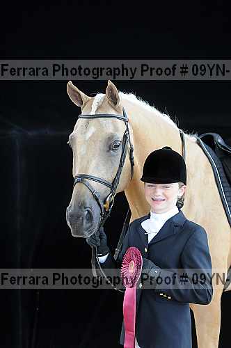 Proof 09yn-13523