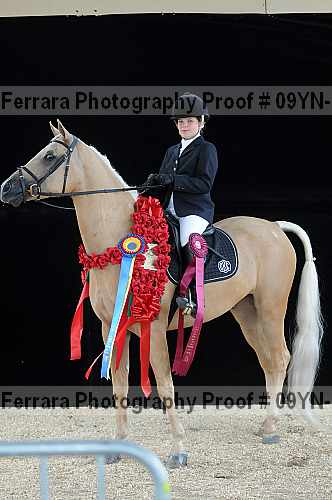 Proof 09yn-13539