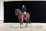 09yn-13597 proof