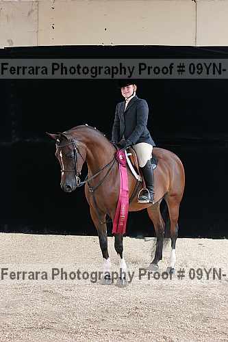 Proof 09yn-13598