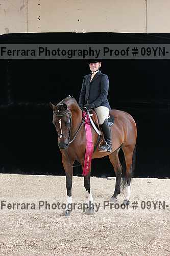 Proof 09yn-13600