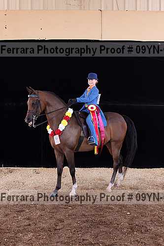 Proof 09yn-09047