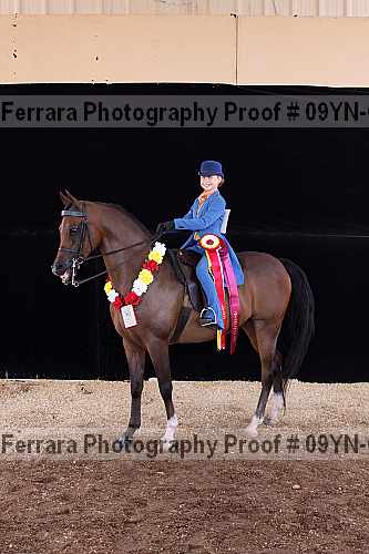 Proof 09yn-09048