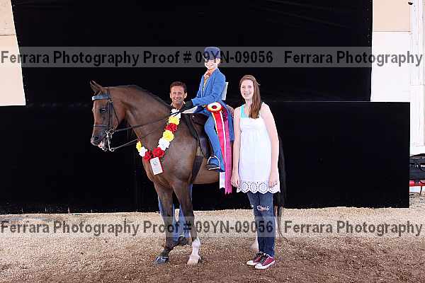 Proof 09yn-09056