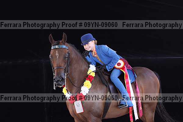 Proof 09yn-09060