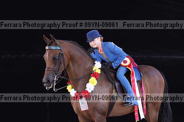 Proof 09yn-09061