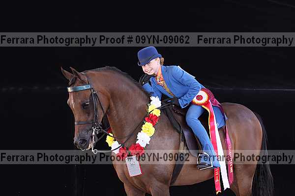 Proof 09yn-09062