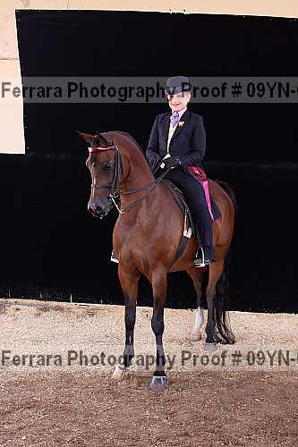 Proof 09yn-09078