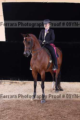 Proof 09yn-09079