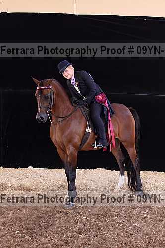 Proof 09yn-09081