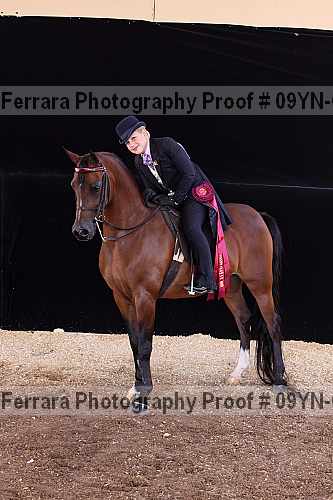 Proof 09yn-09082