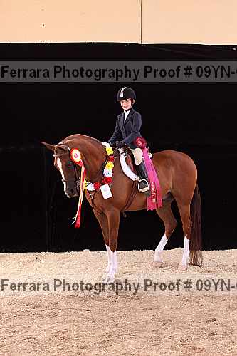 Proof 09yn-09973