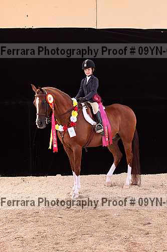 Proof 09yn-09974