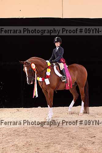 Proof 09yn-09975