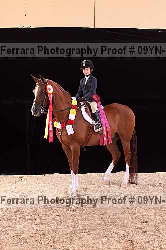 Proof 09yn-09976