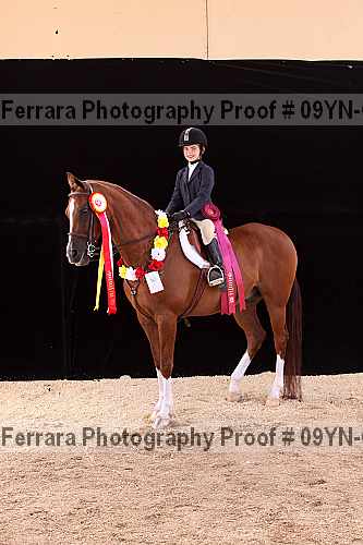 Proof 09yn-09977