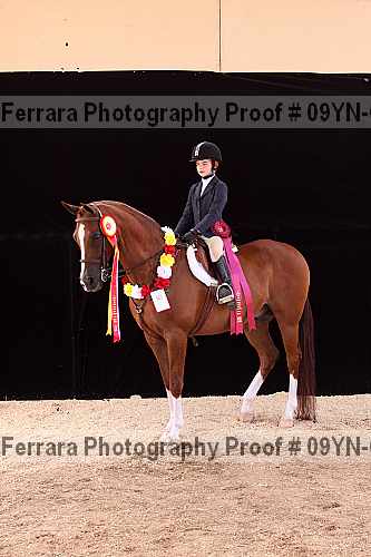 Proof 09yn-09978