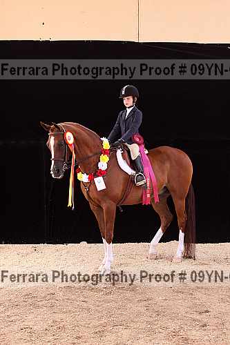 Proof 09yn-09979