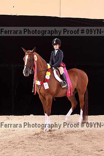 Proof 09yn-09980