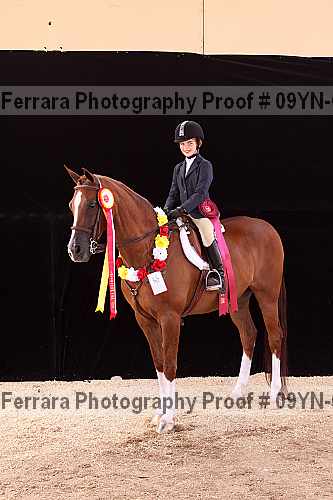 Proof 09yn-09981