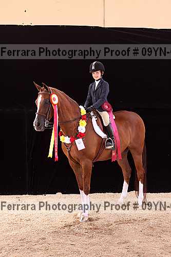 Proof 09yn-09982