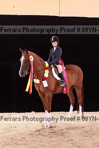 Proof 09yn-09983