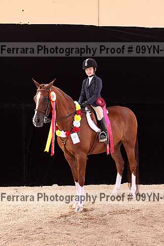 Proof 09yn-09984