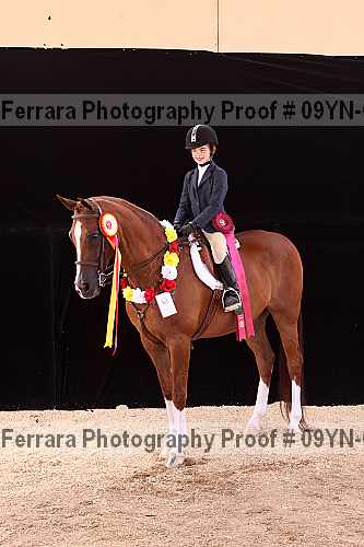 Proof 09yn-09985
