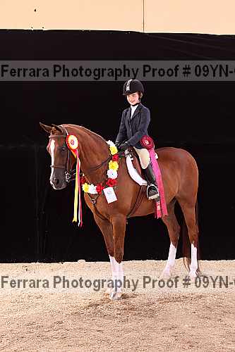Proof 09yn-09986