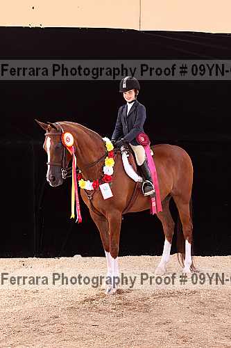 Proof 09yn-09987