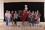 09yn-11158 proof