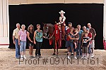 09yn-11161 proof