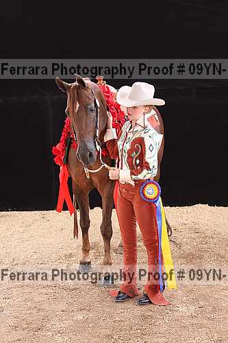 Proof 09yn-11175