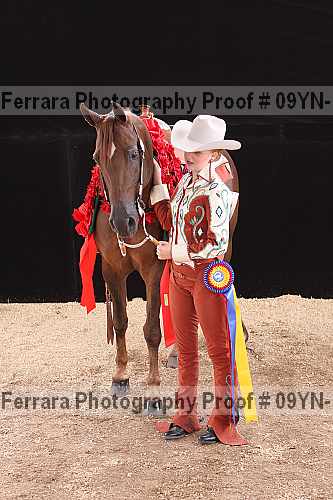 Proof 09yn-11176