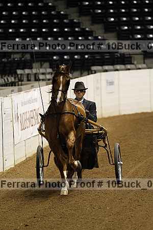 Proof 10buck_0001