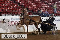 10buck_0003 proof