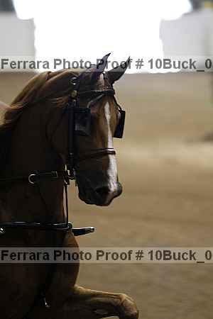 Proof 10buck_0004